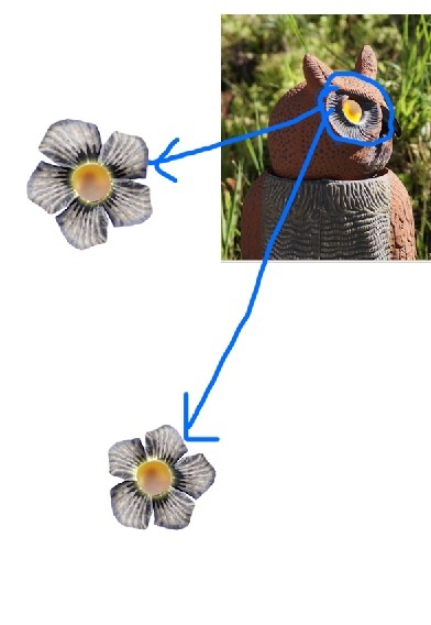Creation of Another Flowers: Step 1